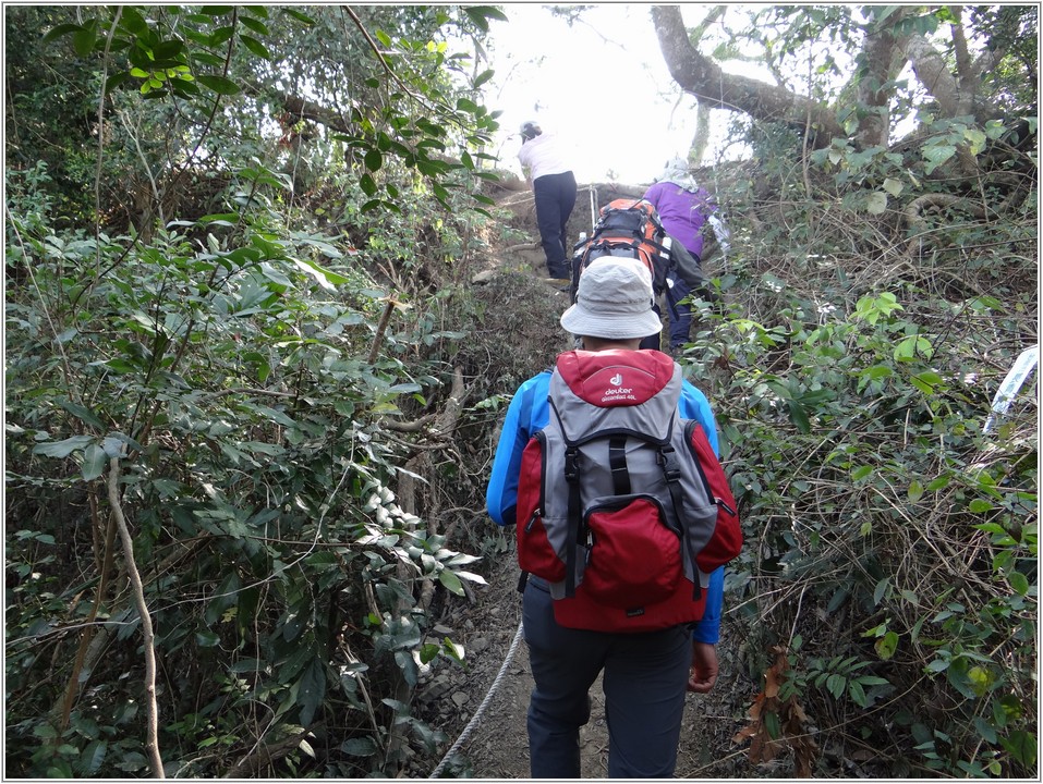 2013-02-23 10-22-36往糖子恩山南峰途中.JPG